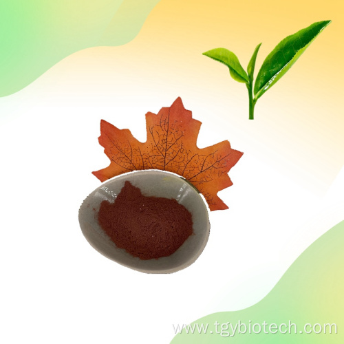 Natural 98% Tea polyphenol Green Tea Extract Powder